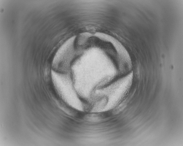 X0000070410082200607072320