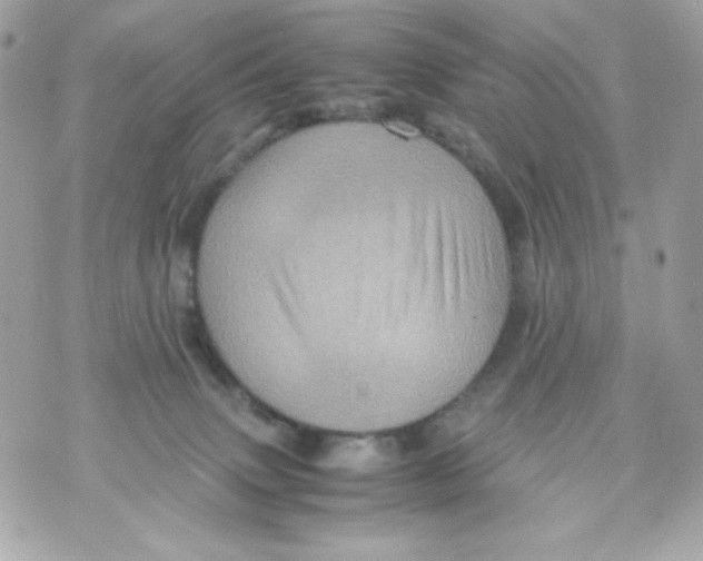 X0000070410083200607072320