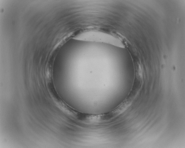 X0000070410084200607072320