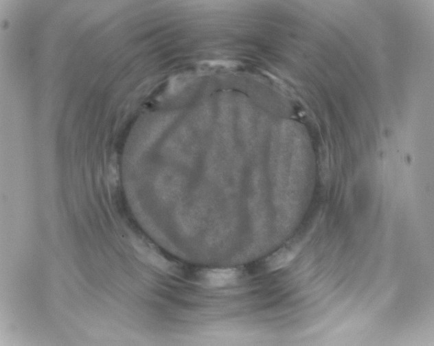 X0000070410085200607072320