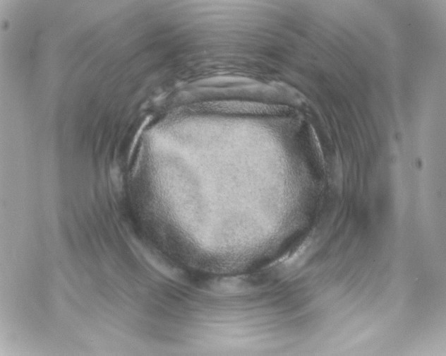 X0000070410086200607072320