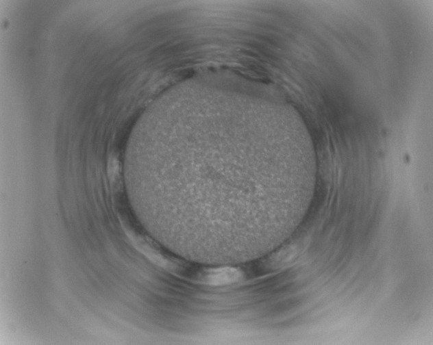 X0000070410087200607072320