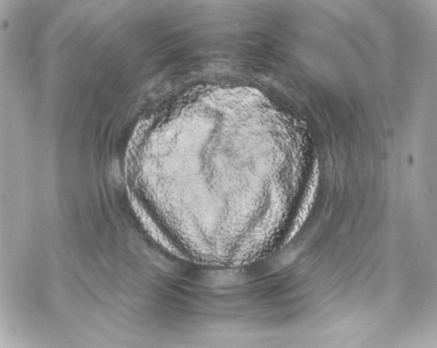 X0000070410089200607072320