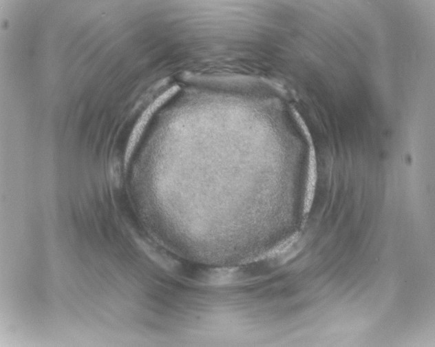 X0000070410090200607072320