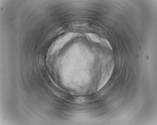 X0000070410091200607072320