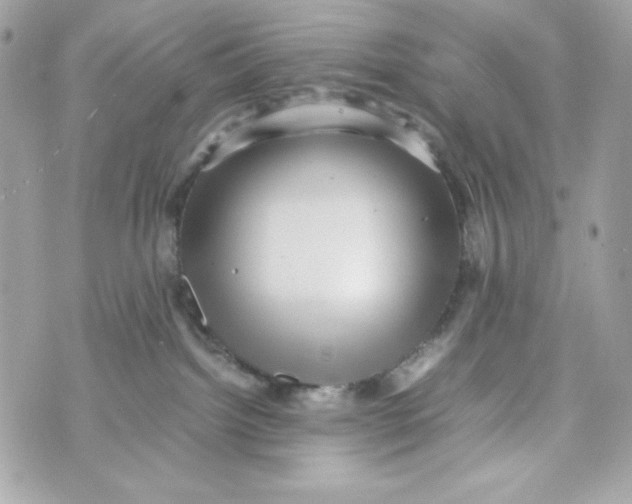 X0000070410092200607072320