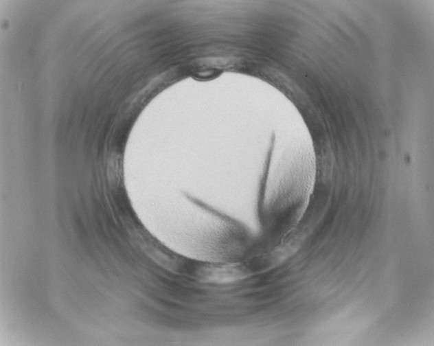 X0000070410093200607072320