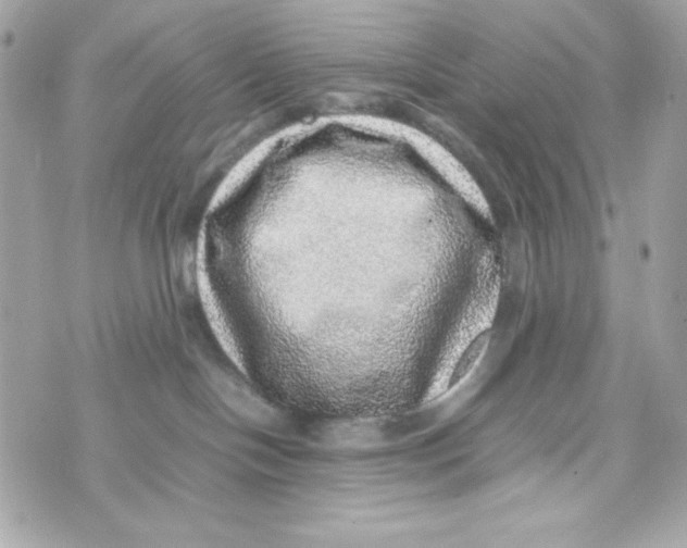 X0000070410094200607072320