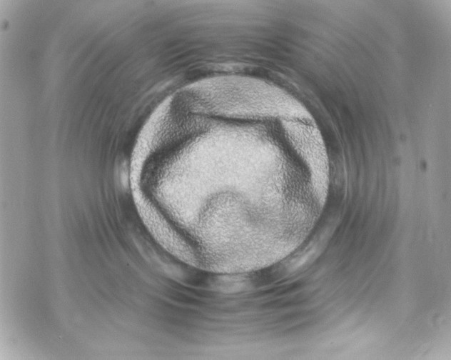 X0000070410095200607072320