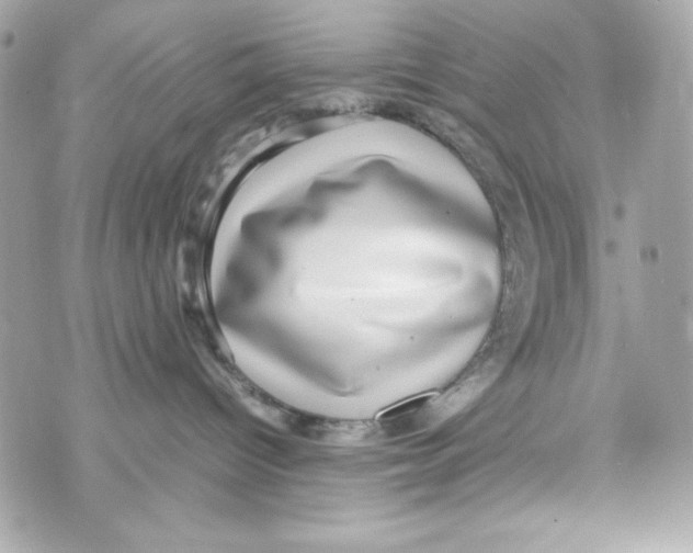 X0000070410096200607072320