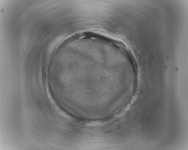 X0000070410097200607072319