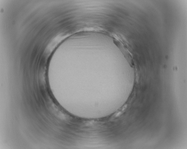 X0000070410098200607072319