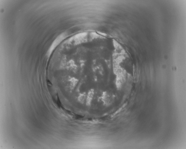 X0000070410099200607072319