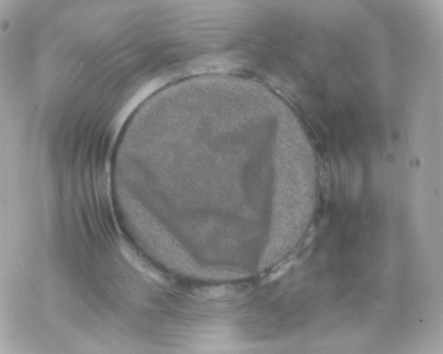 X0000070410100200607072319