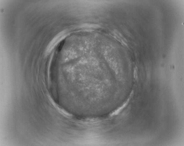 X0000070410101200607072319