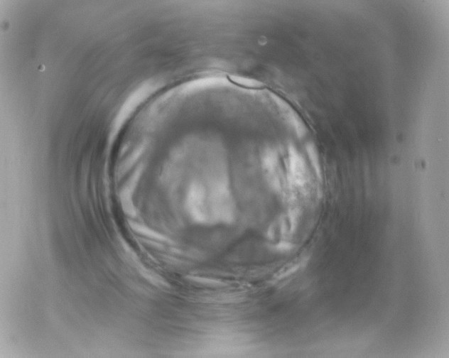 X0000070410102200607072319