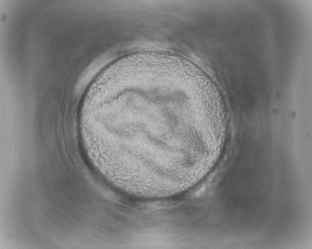 X0000070410103200607072319