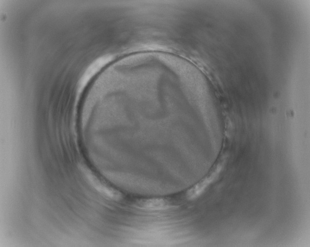 X0000070410104200607072319