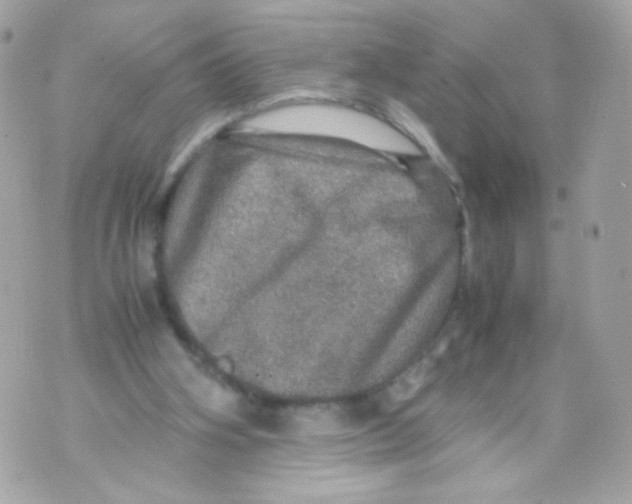 X0000070410106200607072319