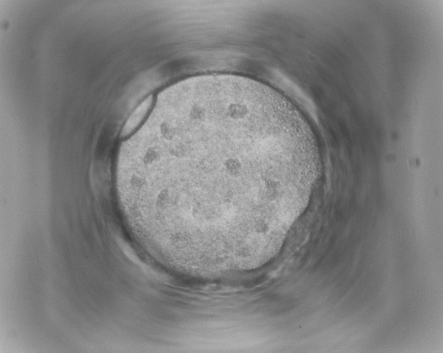 X0000070410107200607072319