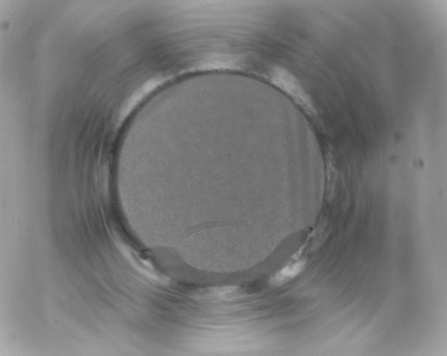 X0000070410108200607072319