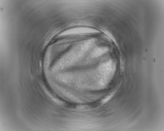 X0000070410109200607072319