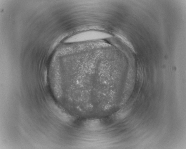 X0000070410110200607072319