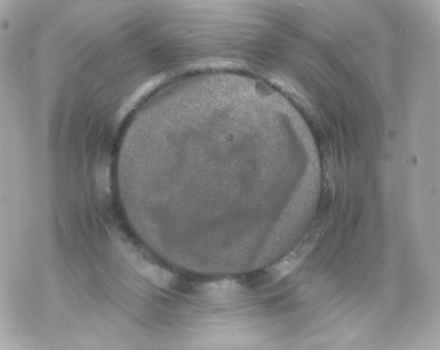 X0000070410112200607072319