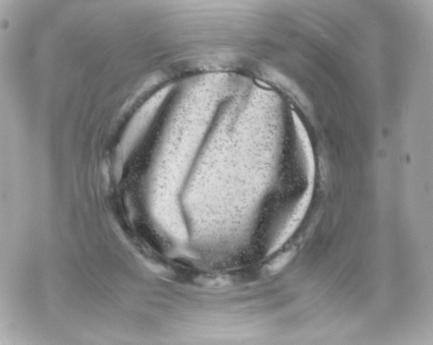 X0000070410113200607072319