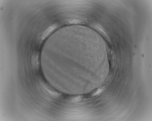 X0000070410116200607072319