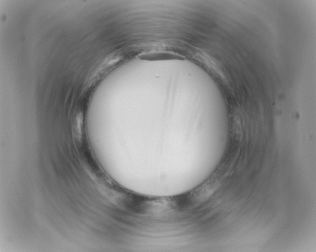 X0000070410118200607072319