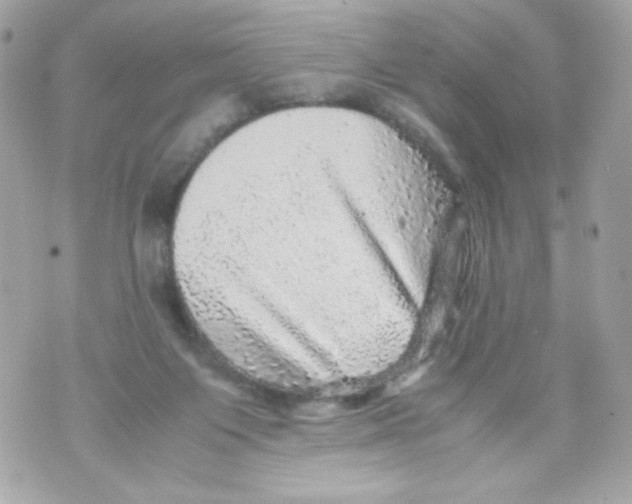 X0000070410119200607072319