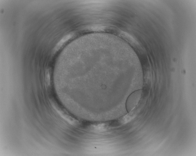 X0000070410120200607072319