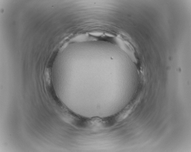 X0000070410121200607072319