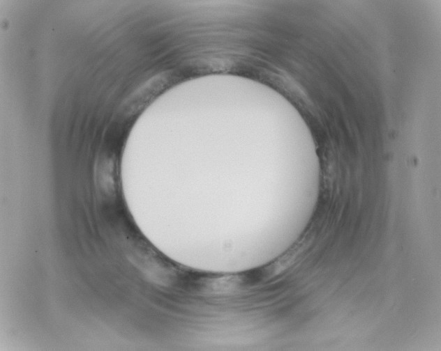 X0000070410122200607072319