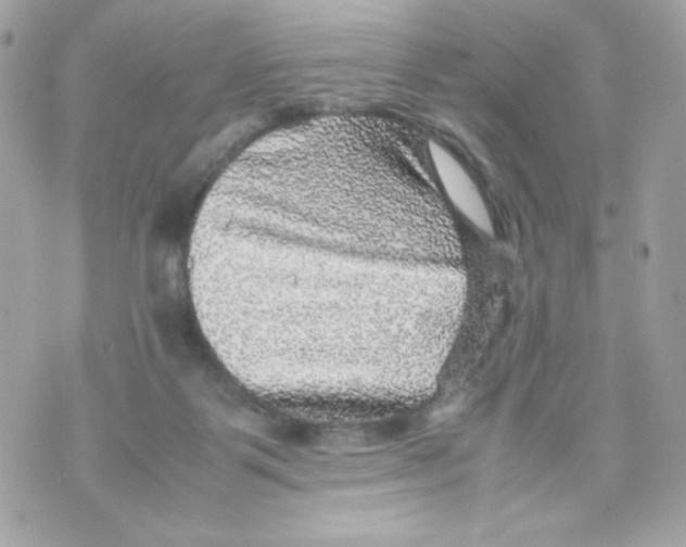 X0000070410123200607072319