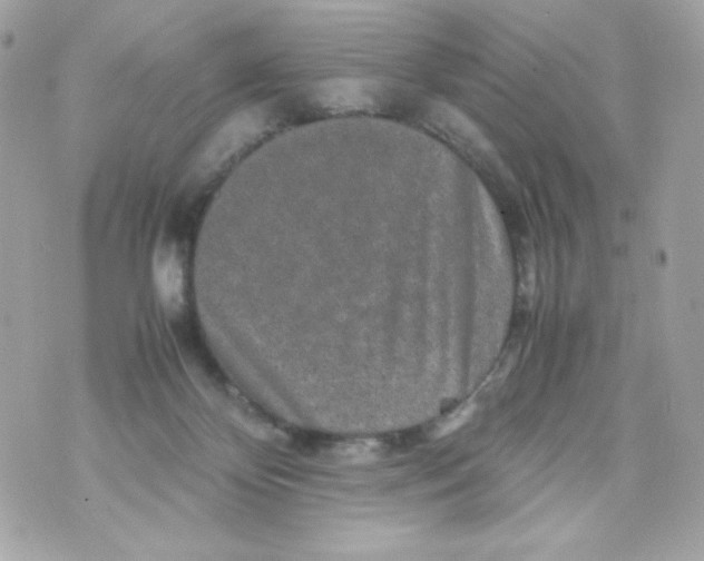 X0000070410124200607072319