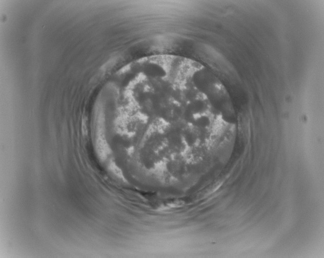 X0000070410127200607072319