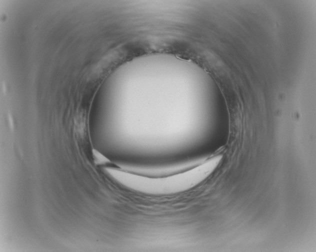 X0000070410129200607072319