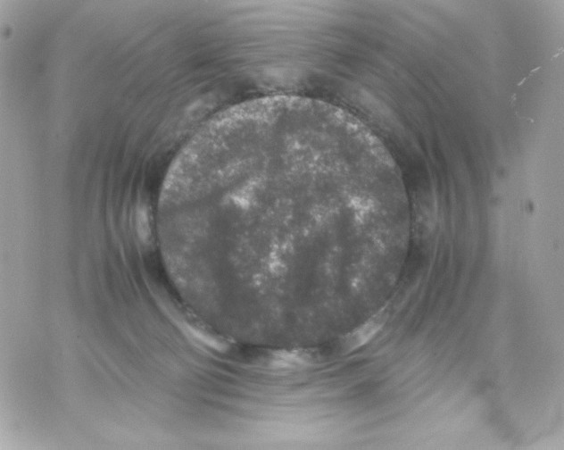 X0000070410130200607072319