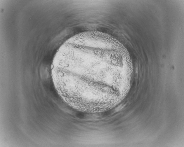 X0000070410131200607072319