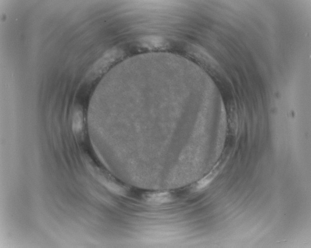 X0000070410132200607072319