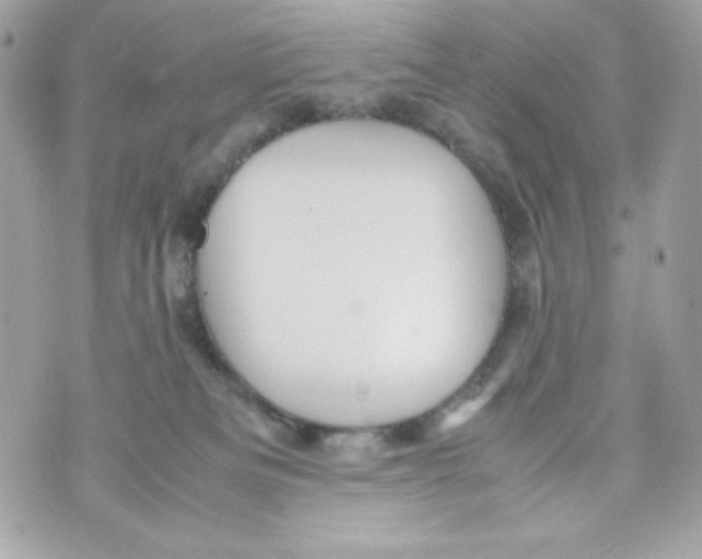 X0000070410133200607072319