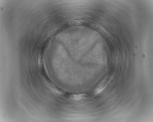 X0000070410134200607072319