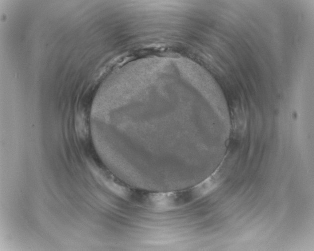 X0000070410136200607072319