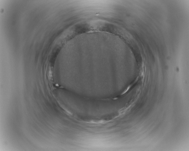 X0000070410137200607072319