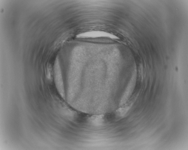 X0000070410138200607072319