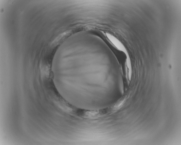 X0000070410139200607072319