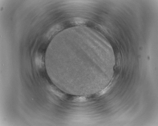 X0000070410140200607072319