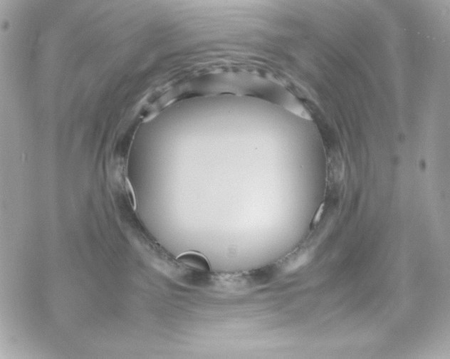 X0000070410141200607072319